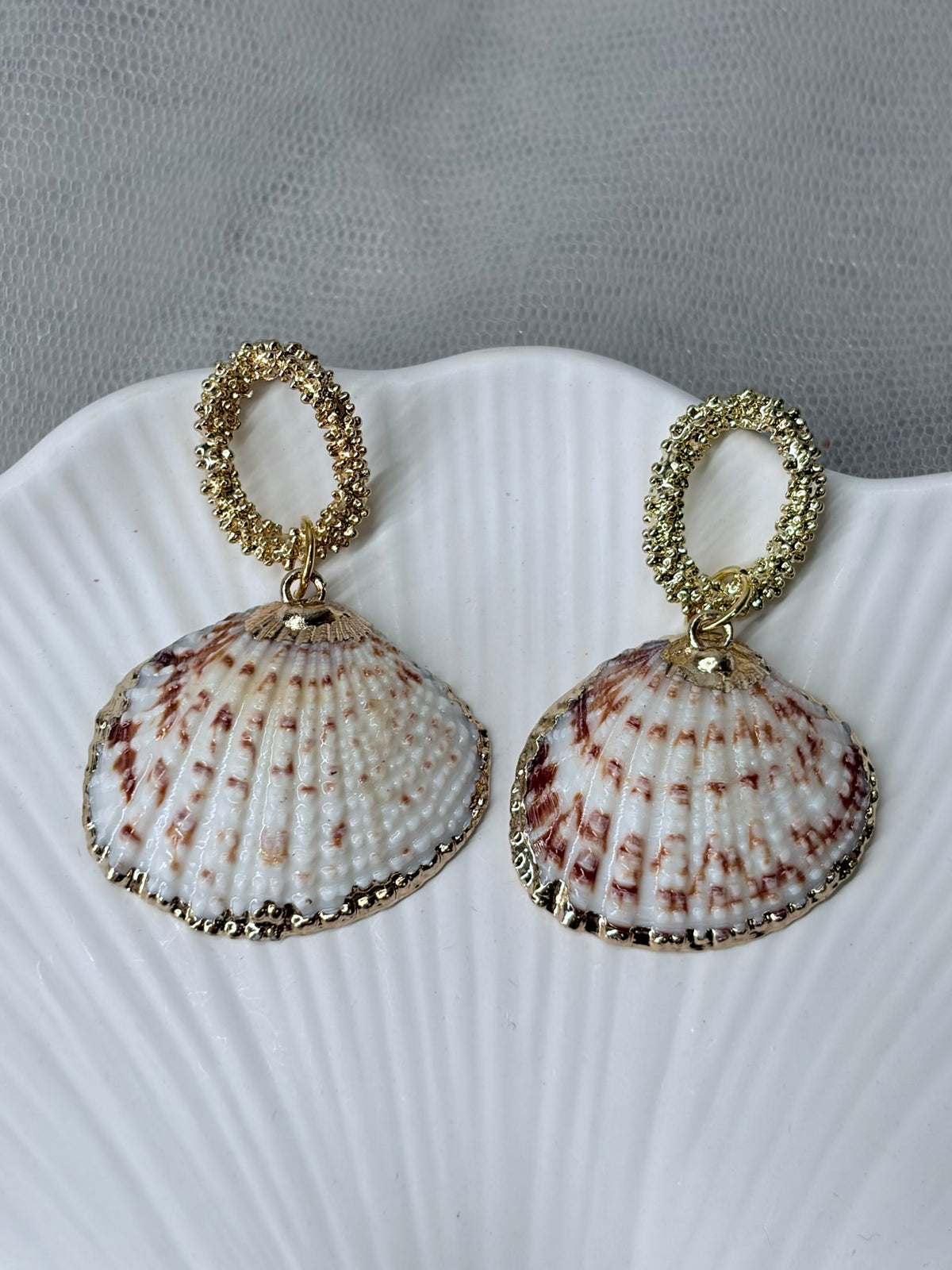 Ohrringe mit echten Muscheln