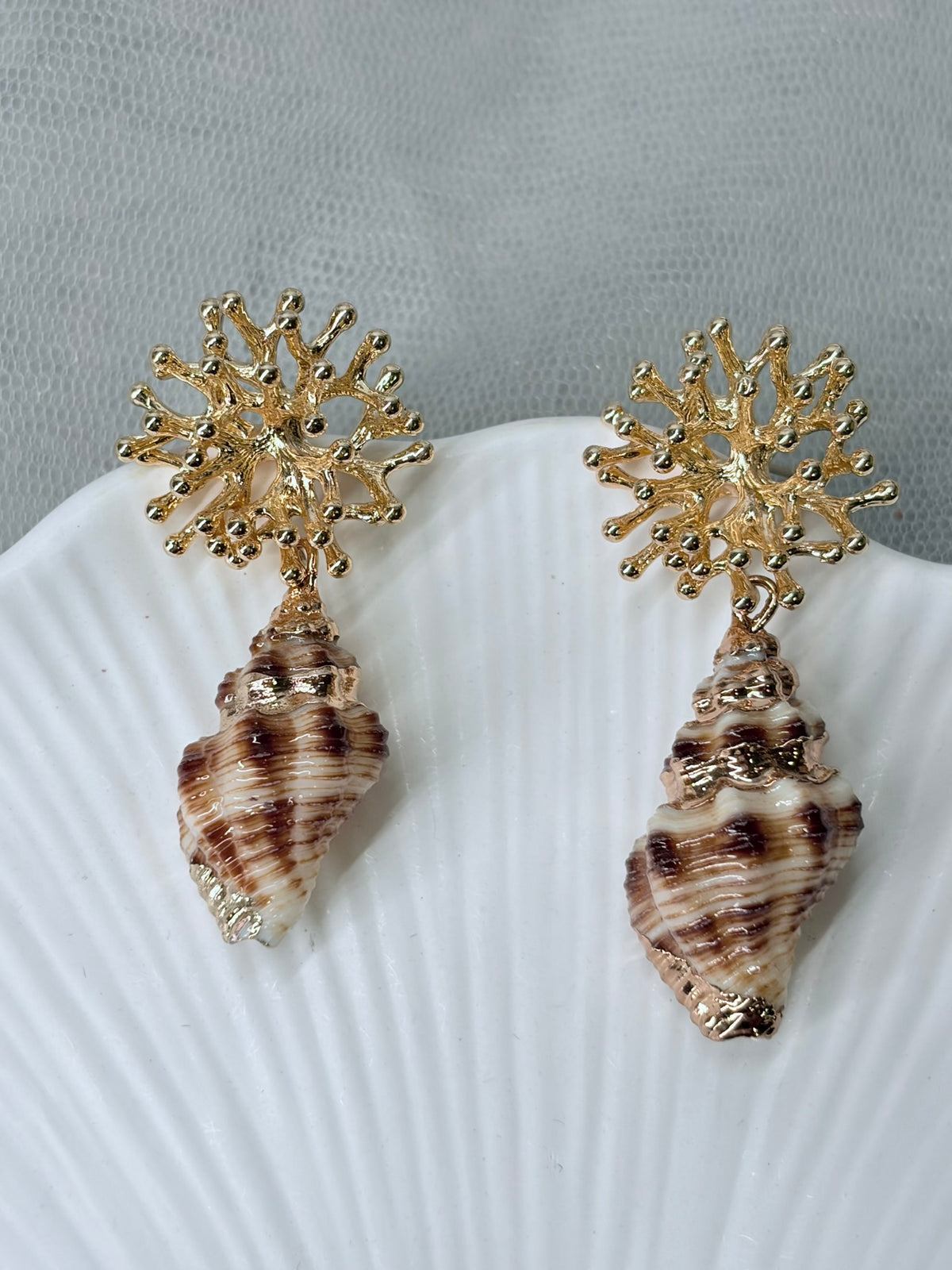 Ohrringe mit echten Muscheln