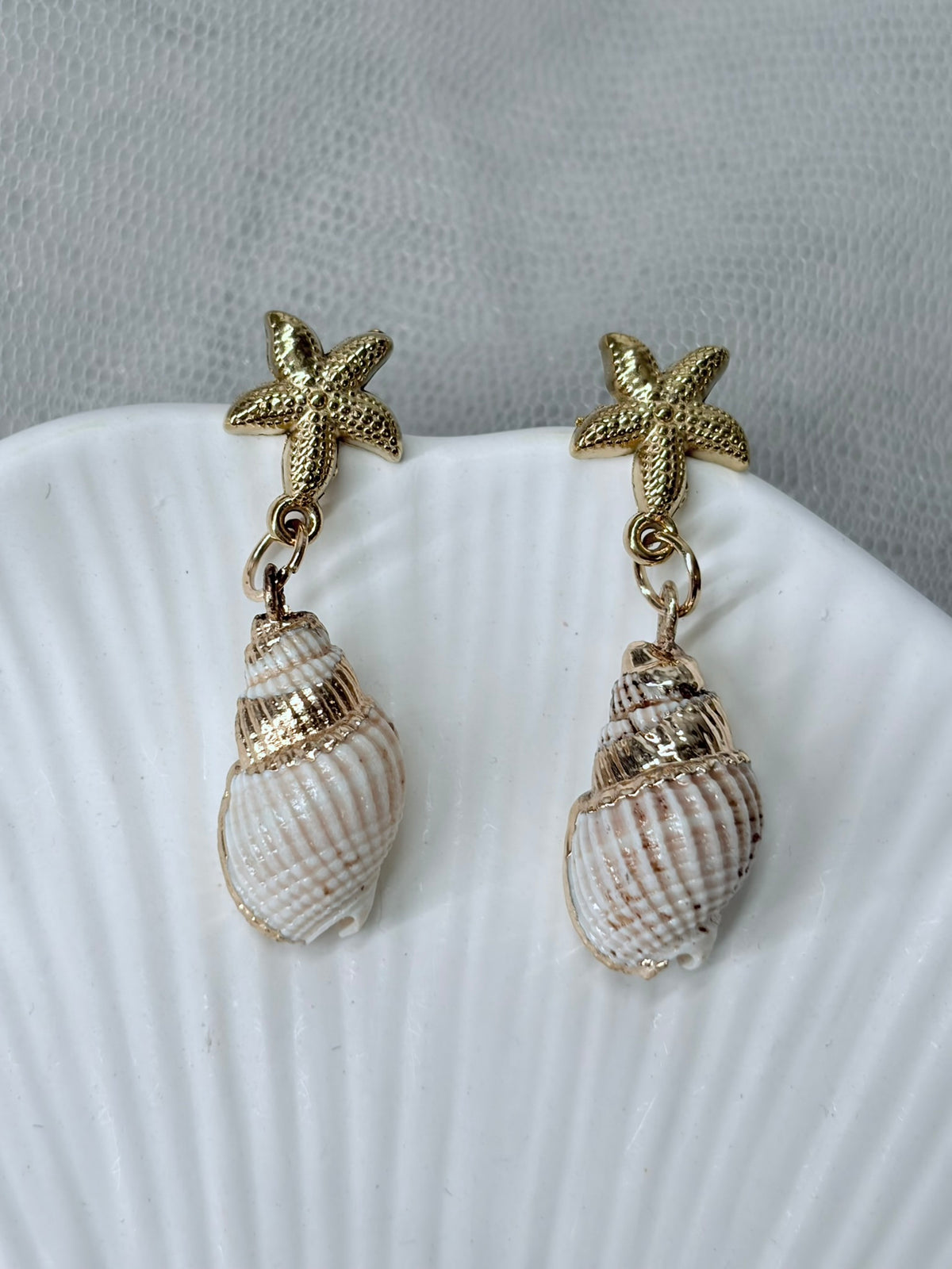 Ohrringe mit echten Muscheln